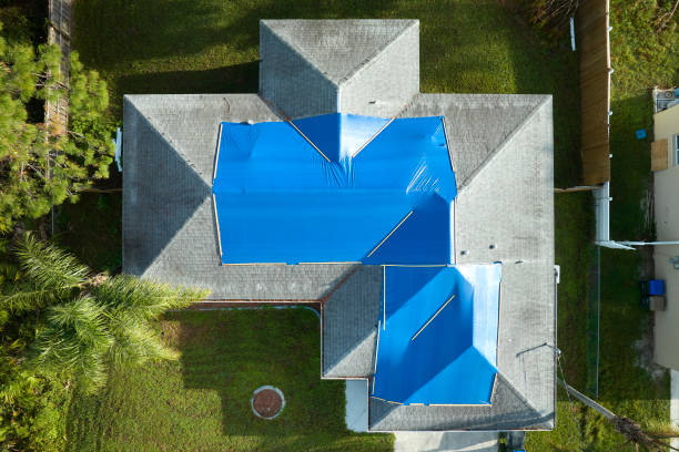 Best Asphalt Shingles Roofing  in Trenton, TN