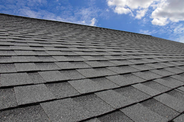 Best Roof Moss and Algae Removal  in Trenton, TN